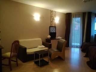 Отель Apartments in Hotel Iceberg Боровец Номер-студио Делюкс-6